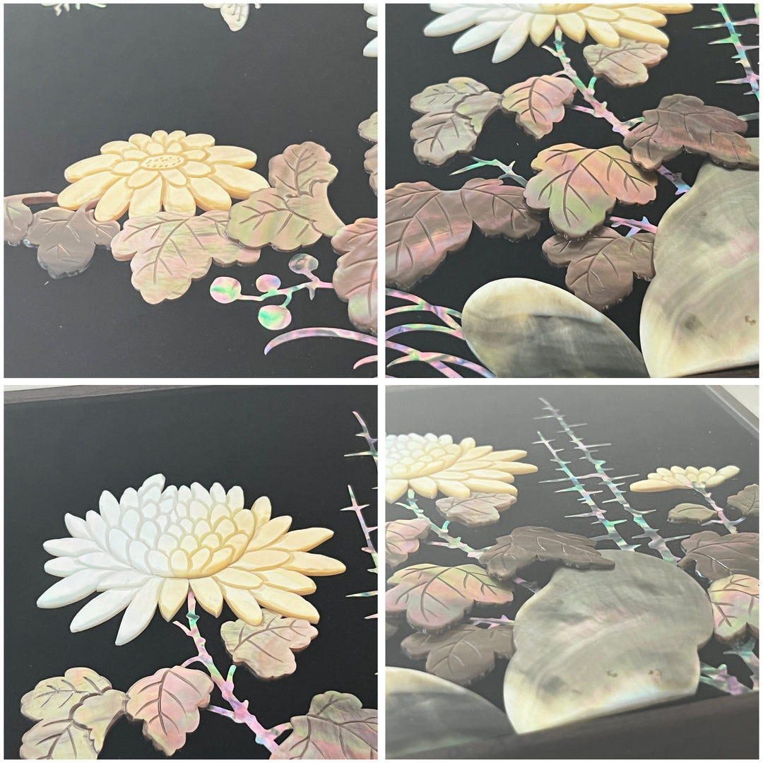 Mother-of-Pearl Art Panel Set: Whole-Shell Details, Horizontal Format